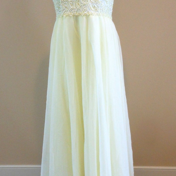 Vintage Chiffon Evening Gown Ann's Vogue Shoppe