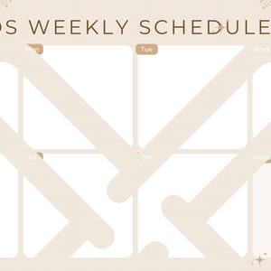 MDS daily schedule