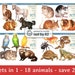 see more listings in the Clipart - « FULL PACKs » section