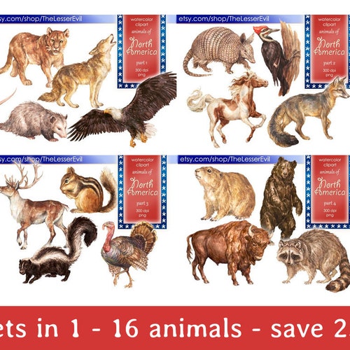FULL PACK Animals of North America Clipart Digital Watercolor - Etsy FULL PACK Animals of North America Clipart Digital Watercolor - Etsy