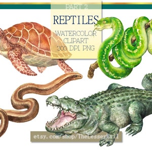 Reptiles Clipart, Digital Watercolor Illustration, Reptile Clip Art, Hand-painted, Realistic Stock, Commercial use image 6