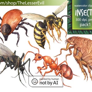 Insects Clipart, Digital Watercolor Illustration, Biting insect Clip Art,  Bugs, Hand-painted, Realistic Stock, Commercial use