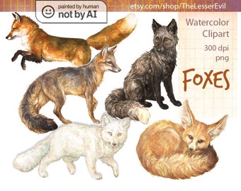 Fox clipart, Digital watercolor Fox illustration, Various vox species Clip Art, Hand-painted Realistic Animal Stock, Commercial use