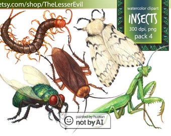 Insects Clipart, Digital Watercolor Illustration, bug, insect Clip Art,  Bugs, Hand-painted, Realistic Stock, Commercial use