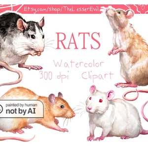 Rats Clipart, Digital Watercolor Illustration, Rat Clip Art, Hand Drawn Stock Illustration, Watercolor Animals