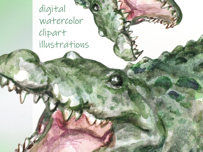 Reptiles Clipart, Digital Watercolor Illustration, Reptile Clip Art, Hand-painted, Realistic Stock, Commercial use image 4