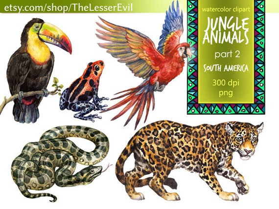 Jungle Animals Clipart Digital Watercolor Tropical Animals Of Etsy Jungle Animals Clipart Digital Watercolor Tropical Animals Of Etsy