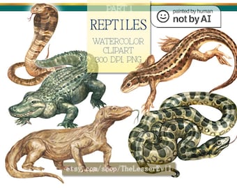 Reptiles Clipart, Digital Watercolor Illustration, Reptile Clip Art, Hand-painted, Realistic Stock, Commercial use