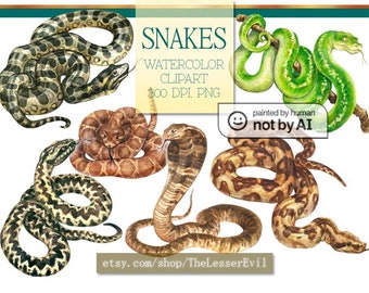 Snakes Clipart, Digital Watercolor Illustration, Serpent Clip Art, Hand-painted, Realistic Stock, Commercial use