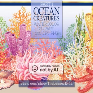 Ocean creatures Clipart, Coral reef, Digital Watercolor Illustration, Sea life Clip Art, Hand-painted, Realistic Stock, Commercial use