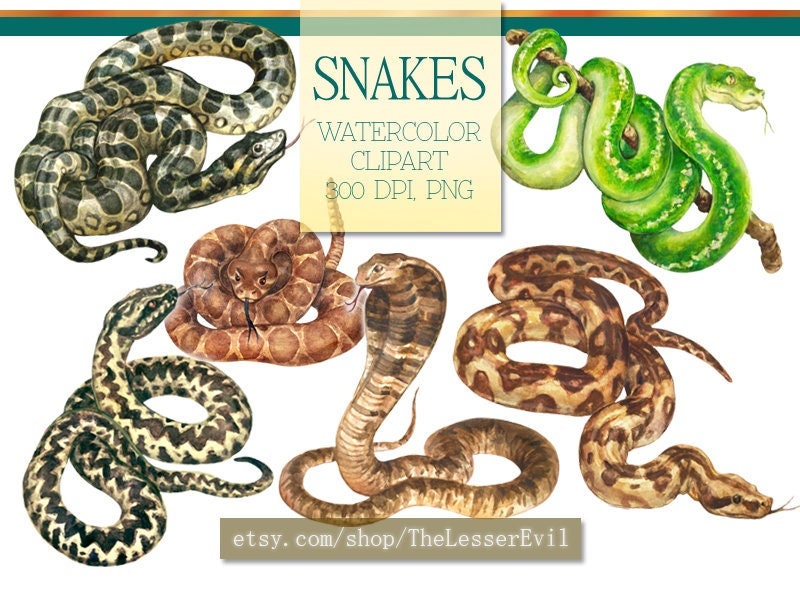 Snake Backgrounds - Etsy