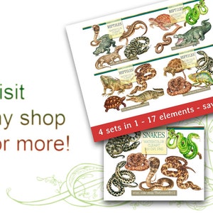 Reptiles Clipart, Digital Watercolor Illustration, Reptile Clip Art, Hand-painted, Realistic Stock, Commercial use image 5