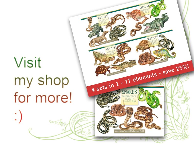 Reptiles Clipart, Digital Watercolor Illustration, Reptile Clip Art, Hand-painted, Realistic Stock, Commercial use image 5