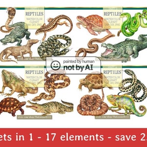 FULL PACK Reptiles Clipart, Digital Watercolor Illustration, Reptile Clip Art, Hand-painted, Realistic Stock, Commercial use