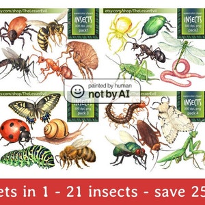 FULL PACK Insekten Clipart, digitale Aquarell Illustration, Insekt Clip Art, Käfer, Bugs, handbemalt, realistische Lager, kommerzielle Nutzung