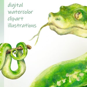 Reptiles Clipart, Digital Watercolor Illustration, Reptile Clip Art, Hand-painted, Realistic Stock, Commercial use image 3