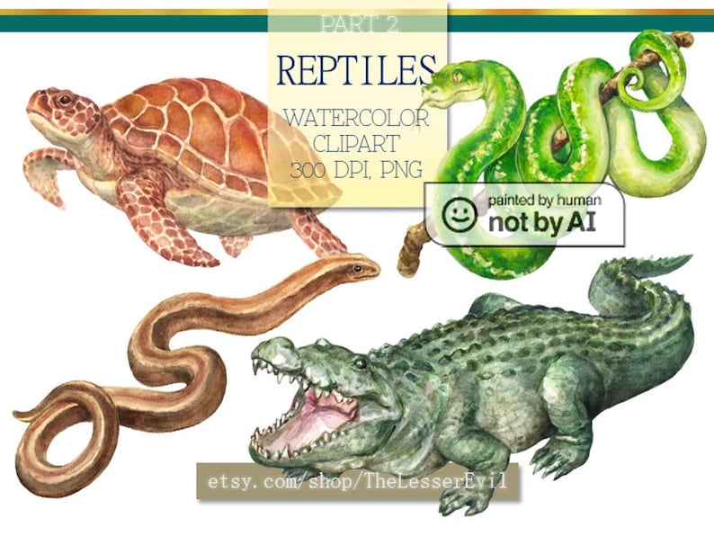 Reptiles Clipart, Digital Watercolor Illustration, Reptile Clip Art, Hand-painted, Realistic Stock, Commercial use image 1
