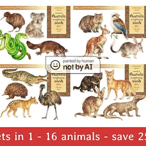 FULL PACK Animals of Australia Clipart, Digital Watercolor Australian Clip Art, Hand-painted Realistic Stock Illustration, Commercial use