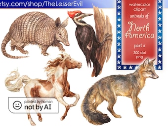 Animals of North America Clipart, Digital Watercolor Illustration, Animal Clip Art, Hand-painted, Realistic Stock, Commercial use