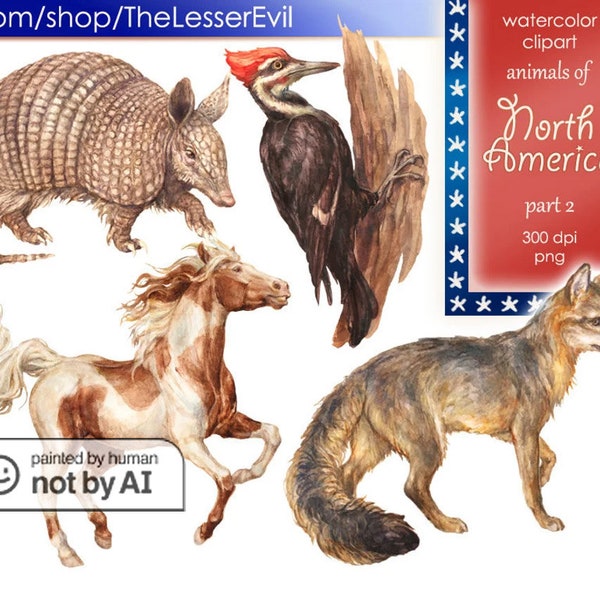 Animals of North America Clipart, Digital Watercolor Illustration, Animal Clip Art, Hand-painted, Realistic Stock, Commercial use