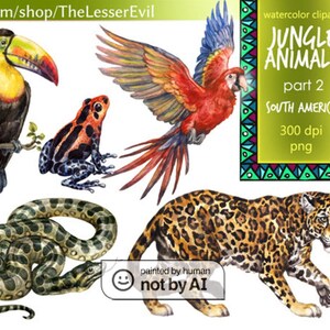 Clipart animaux de la jungle, animaux tropicaux aquarelle numérique d'Amazon Clip Art, Illustration de stock réaliste peinte à la main, utilisation commerciale