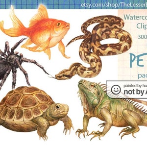 Haustiere Clipart, digitale Aquarell Illustration, Haustier Tier Clip Art, handbemalt, realistische Lager, kommerzielle Nutzung