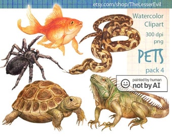 Pets Clipart, Digital Watercolor Illustration, Pet Animal Clip Art, Hand-painted, Realistic Stock, Commercial use