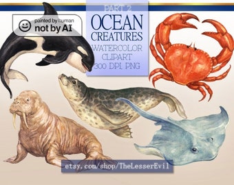 Ocean creatures Clipart, Digital Watercolor Illustration, Sea life Clip Art, Hand-painted, Realistic Stock, Commercial use