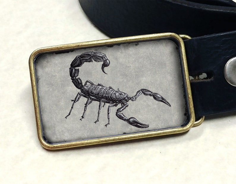 scorpion belt buckle
