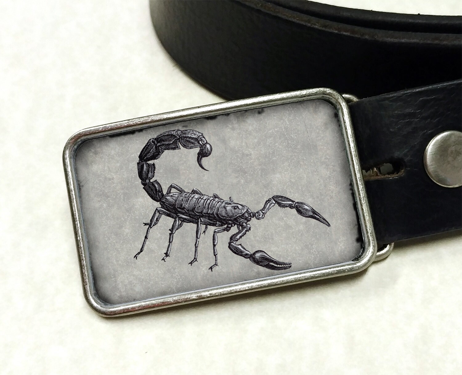 scorpion buckles