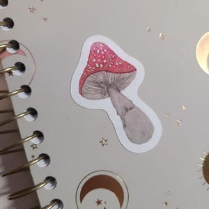 Mushroom Sticker