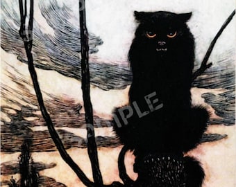 Spooky Black Cat Perfect for Halloween Greeting Card , Vintage Image by Arthur Rackham "The Day She Made Herself Into a Cat"