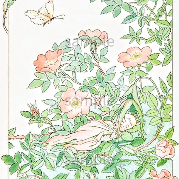 Elsa Beskow Flower Fairy Princess Sleeping,  Vintage Image by Children's Book Illustrator Elsa Beskow