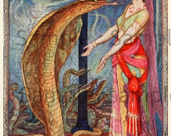 Queen of Snakes from The Olive Fairy Book, Classic Fairy Tale, Vintage Image by H J Ford Published 1907