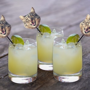 Drink stirrers personalized with cat face, wedding drink sticks, Pet Birthday stir sticks, Custom Party Decorations, swizzle sticks,