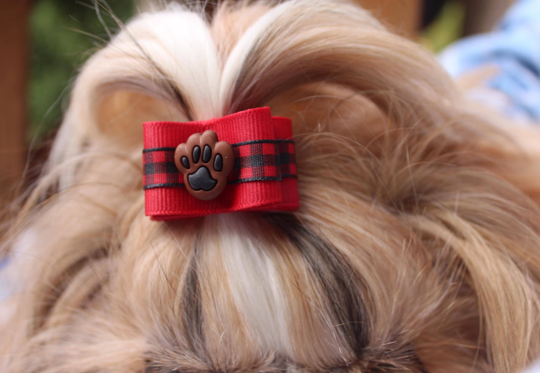 Dog Hair Bow shih tzu dog show bow shih tzu yorkie maltese Etsy