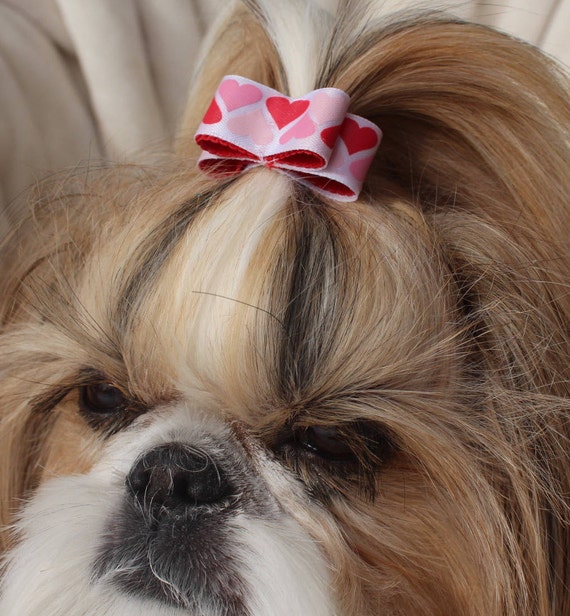 Dog Hair Bow Shih Tzu Yorkie Maltese Dog Show Bow Pet Hair Etsy
