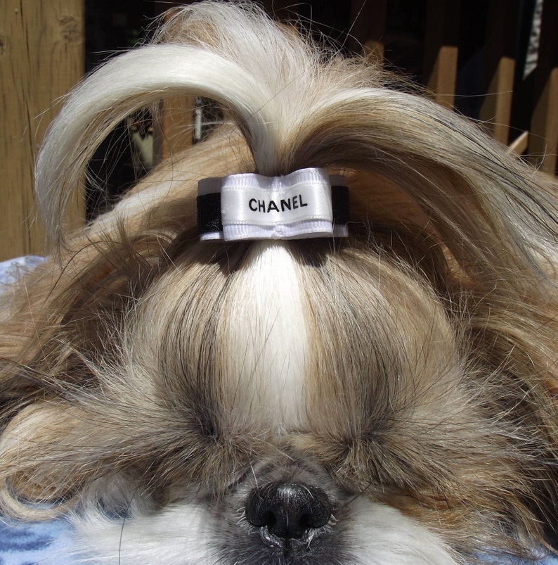 Dog Hair Bow Authentic Ribbon For Shih Tzu Yorkie Maltese Dog Etsy