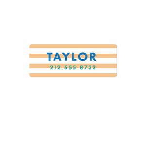 May include: A white and orange striped label with the name "TAYLOR" in blue text and the phone number "212 555 8732" in green text.