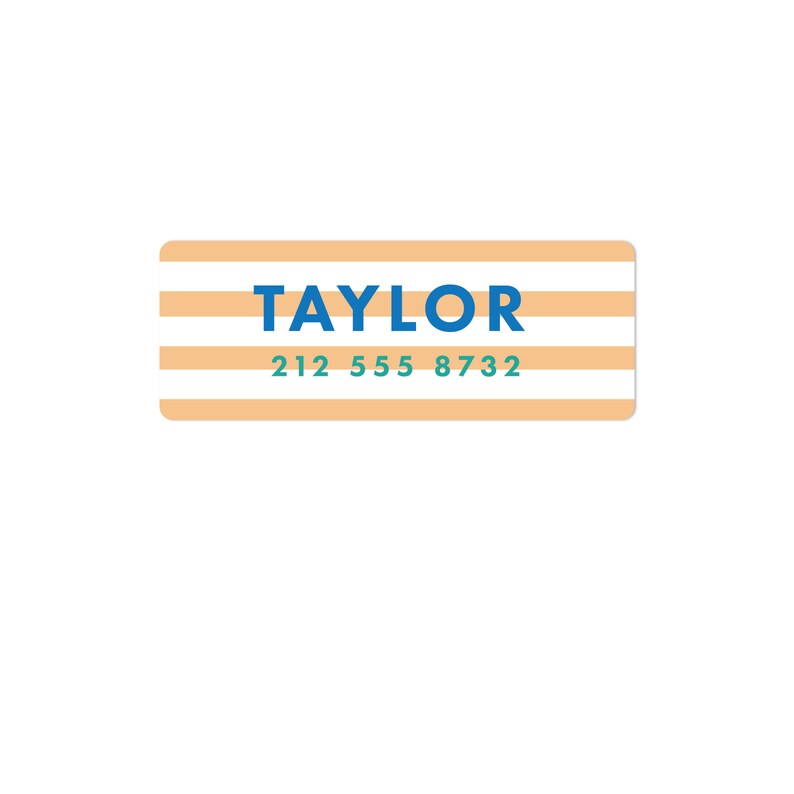 May include: A white and orange striped label with the name "TAYLOR" in blue text and the phone number "212 555 8732" in green text.