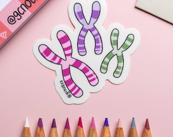 Chromosome DNA Genetics Transparent Sticker