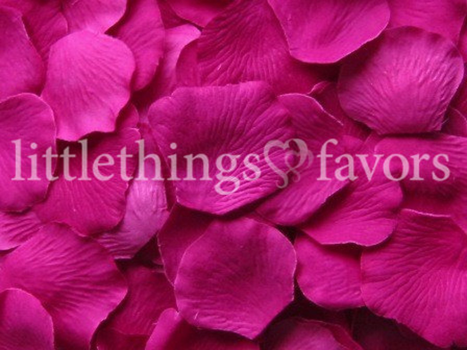 малиновые цветы. розовый цвет. малиновые цветы. малиновые лепестки. малиновые лепестки.