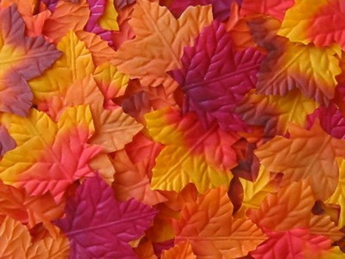 1000 Multicolored Fall Autumn Silk Leaves Wedding Etsy