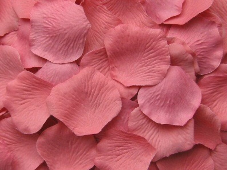 Pink Rose Petals Silk Rose Petals 13 Shades Silk Petals Etsy