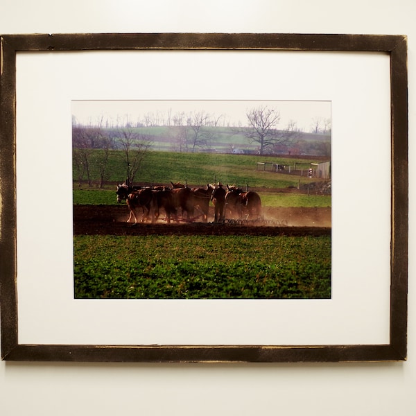 Barnwood Picture Frame WITH WHITE MAT, 8X10 11X14 16X20 Mats Thin, 1.5" or 2" Reclaimed Barn Wood Matted Photo Frames Farmhouse Gallery Wall