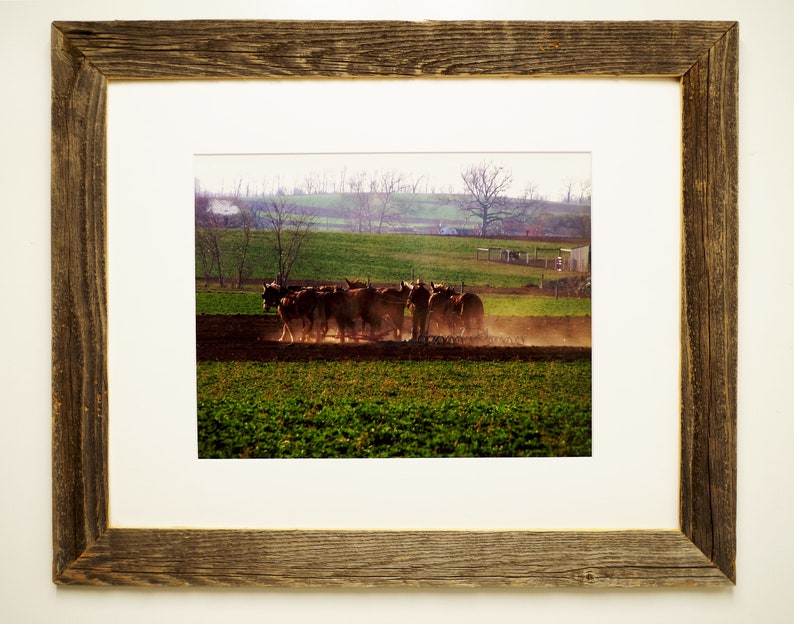 2 Barnwood Picture Frames Large Rustic Reclaimed Old Image 0