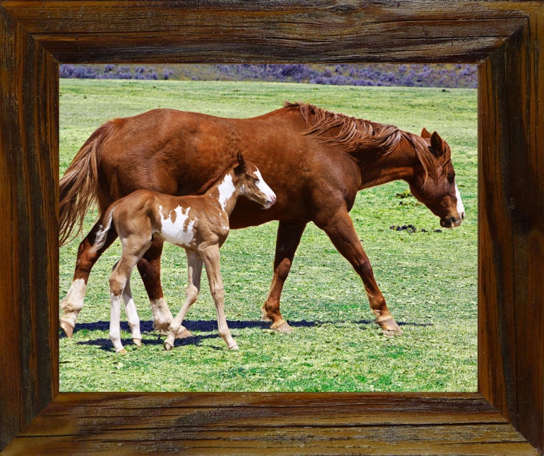 Montana 1.5 Barnwood large Frame Country Western Style Farm house hand made reclaimed barn wood picture frame