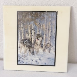 Vintage Larry Fanning September Snow Art Print Tile 8X8 Nice