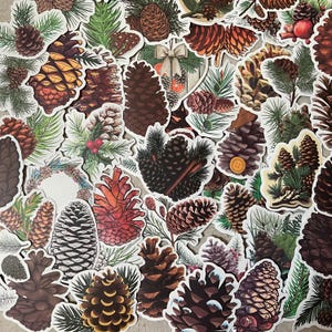May include: A collection of various pine cone stickers with white borders. The stickers feature detailed illustrations of pine cones in shades of brown, red, and black, with green pine needles and sprigs. Some stickers include holly berries and other decorative elements.