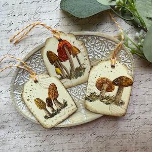 Mushroom Gift Tag, All Occasion Gift Tag, Hang Tag, Holiday Gift Tag, Party Favor Tag, Favor Tag, Botanical Stationary, Toadstools, Set of 9